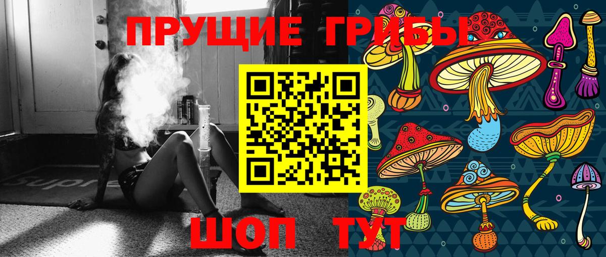 Бугуруслан  Псилоцибиновые грибы Psilocybe  купить   Вход с VPN 