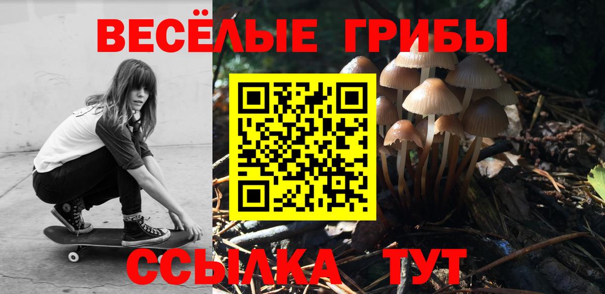 Псилоцибиновые грибы прущие грибы Бугуруслан